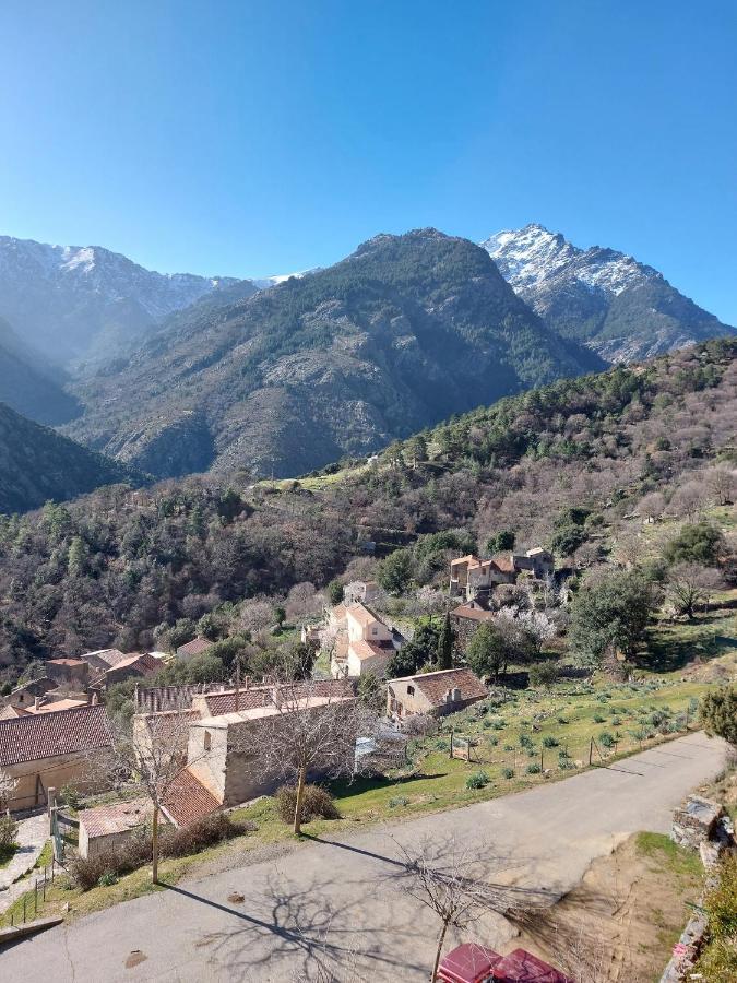 Residence E Cime Asco Locations De Studios Meubles Bagian luar foto